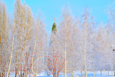 Similar image 21142069