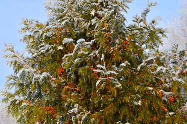 Similar image 21144171