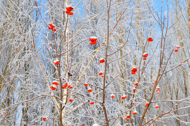 Similar image 21144181