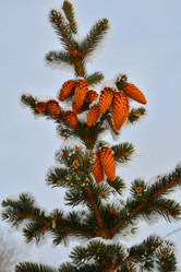 Similar image 21144185