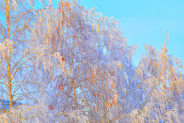 Similar image 21144199