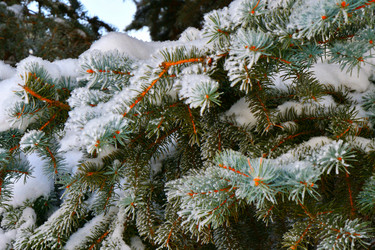 Similar image 21144207