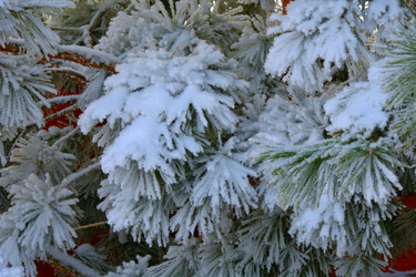 Similar image 21144213