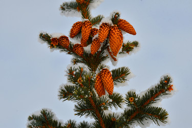 Similar image 21144317