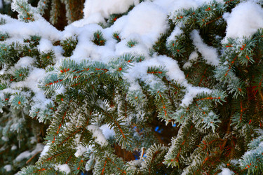 Similar image 21144319