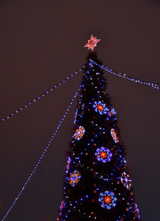 Similar image 21144602