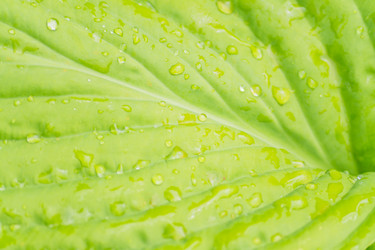 Similar image 21139126