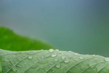 Similar image 21139129