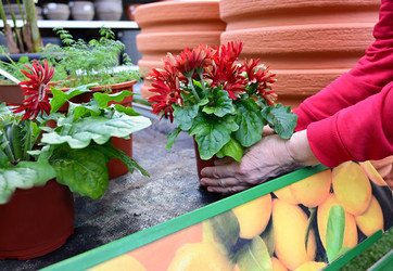 Similar image 21136037