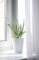 Similar image 21136038