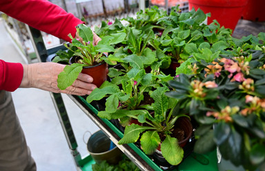 Similar image 21136041