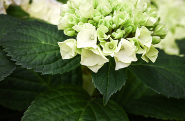 Similar image 21136047