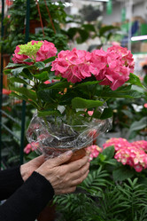 Similar image 21136049