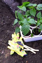 Similar image 21136053