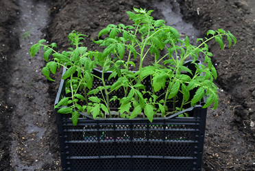 Similar image 21136055