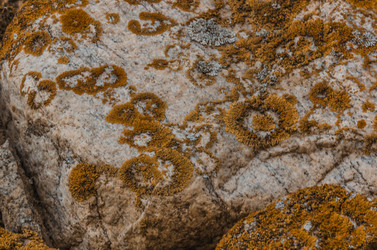 Similar image 21157774