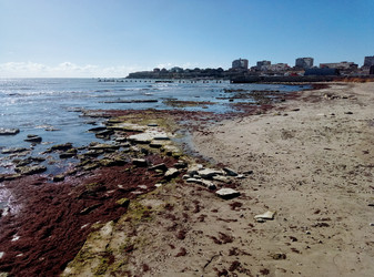 Similar image 21145876