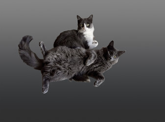 Similar image 21145877