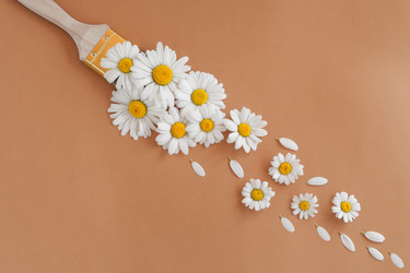 Similar image 21161580