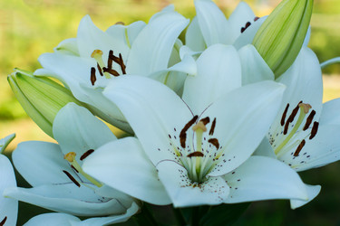 Similar image 21161608