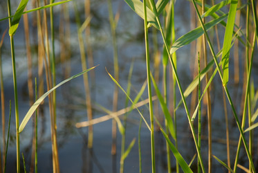 Similar image 21142989