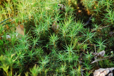 Similar image 21142990