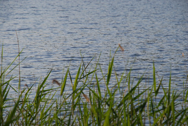 Similar image 21142991