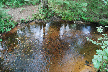 Similar image 21142993