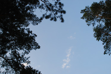 Similar image 21142994