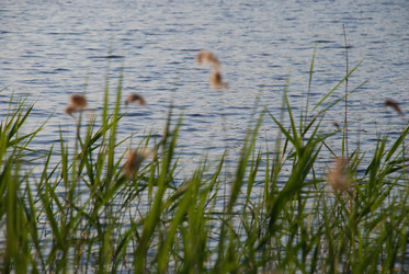 Similar image 21142997