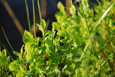 Similar image 21142999