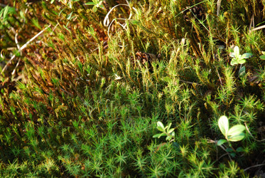 Similar image 21143001