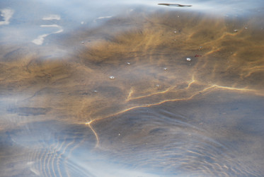 Similar image 21143002