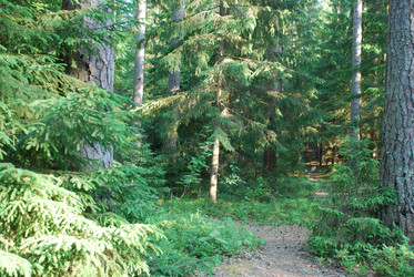 Similar image 21143003