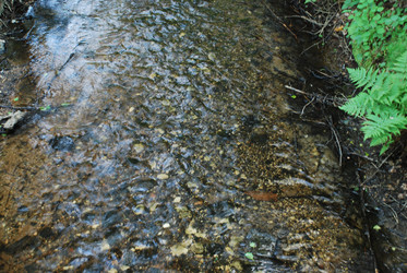 Similar image 21143004