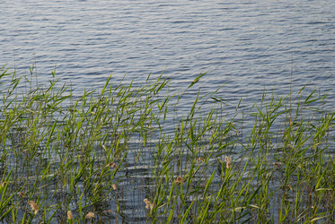 Similar image 21143005