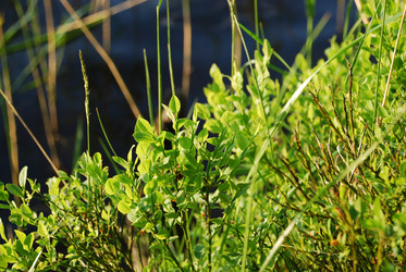 Similar image 21143007