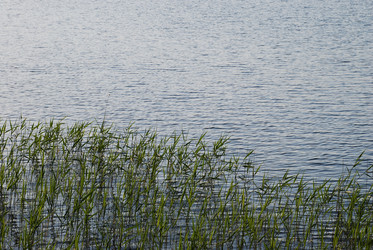 Similar image 21143008