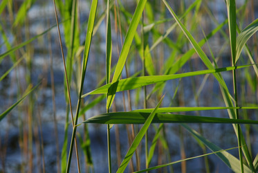 Similar image 21143013