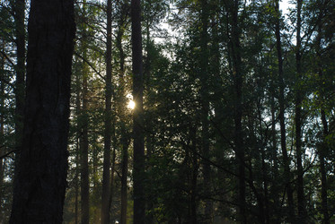 Similar image 21143021