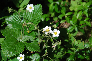 Similar image 21143023