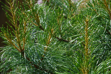 Similar image 21143024