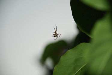 Similar image 21143027