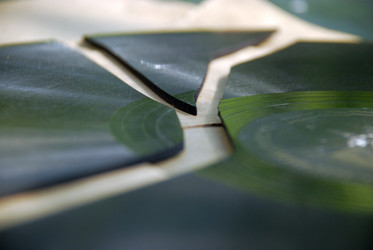 Similar image 21143028