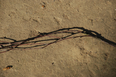 Similar image 21143029