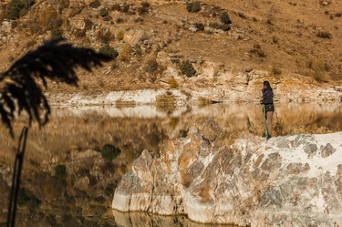 Similar image 21157793