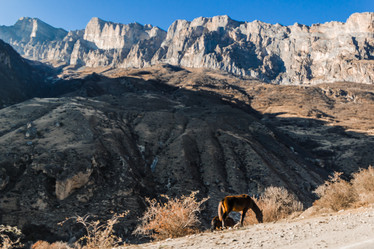 Similar image 21168785