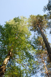 Similar image 21143036