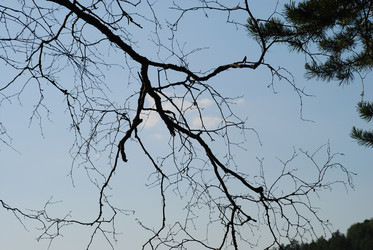 Similar image 21143037