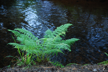 Similar image 21143038